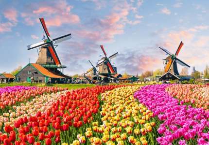 Đi du lịch Hà Lan mùa hoa tulip đẹp nhất vào tháng mấy