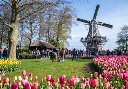 Top 5 điểm du lịch Hà Lan đẹp nhất