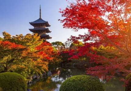 Đi du lịch Nhật Bản tháng 10 có gì đẹp