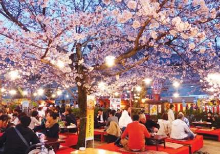Những lễ hội mùa xuân tại Nhật Bản