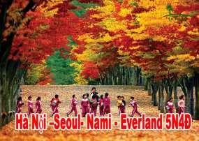 Du Lịch Hàn Quốc Mùa Lá Đỏ 5 Ngày 4 Đêm - Seoul- Nami - Everland  Bay (Vietjet Air)