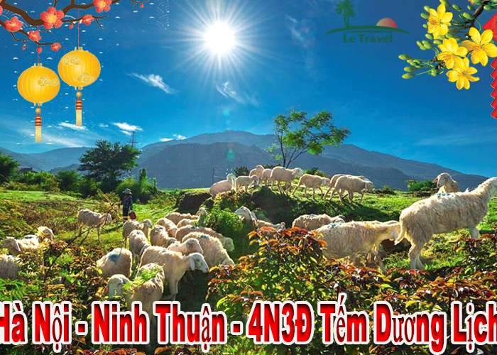 Du Lịch Ninh Thuận 4 Ngày 3 Đêm Tết Dương Lịch 2024