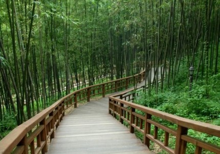 Vườn Trúc Juknokwon: Điểm đến lý tưởng ở Hàn Quốc