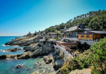 Đi khám phá đảo Jeju tháng 7 có gì đẹp