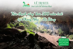 Ngắm hóa thạch sống hơn 500 năm tuổi giữa đại ngàn Phong Nha - Kẻ Bàng