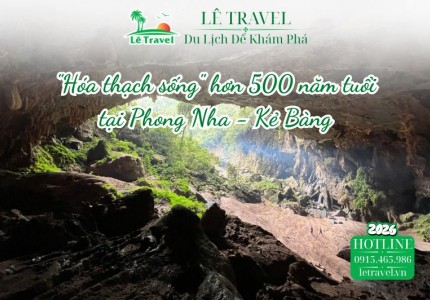 Ngắm hóa thạch sống hơn 500 năm tuổi giữa đại ngàn Phong Nha - Kẻ Bàng