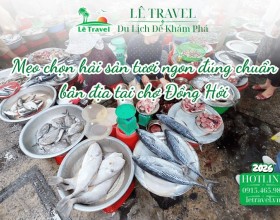 Mẹo chọn hải sản tươi ngon đúng chuẩn bản địa tại chợ Đồng Hới