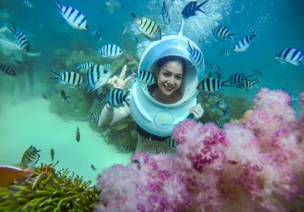 Trải nghiệm đi bộ dưới biển Phú Quốc