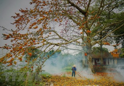 Khám phá Đà Nẵng tháng 3