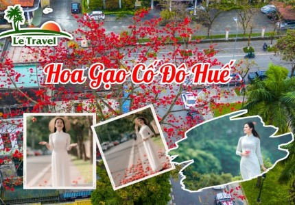 Khi hoa gạo trở về trên mảnh đất cố đô