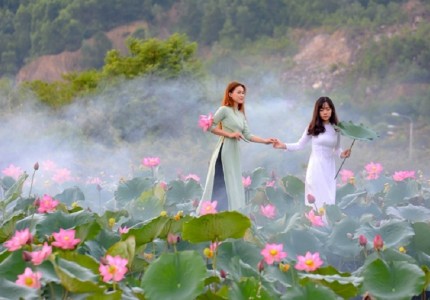 Mãn nhãn với vẻ đẹp với vẻ đẹp hoa sen Đà Nẵng 