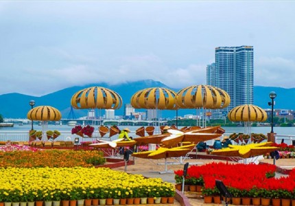 Những điều cần biết khi đi du lịch Đà Nẵng tết