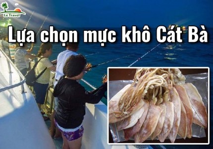 Kinh nghiệm mua mực khô Cát Bà siêu ngon