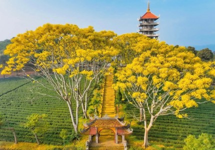 Khám phá Bảo Lộc