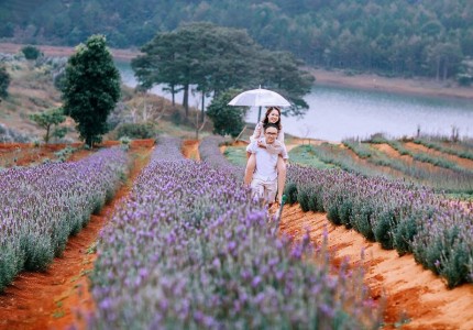 Khám phá vẻ đẹp Đà Lạt với bốn mùa hoa khoe sắc