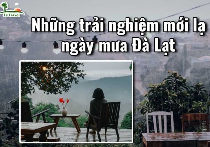 Những trải nghiệm mới lạ của ngày mưa Đà Lạt