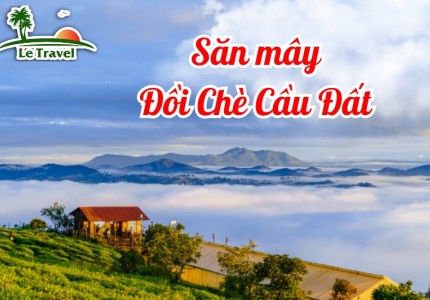 Săn mây Đồi Chè Cầu Đất của Đà Lạt