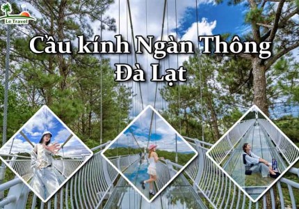 Tham quan cầu kính Ngàn Thông tại xứ sở hoa Đà Lạt