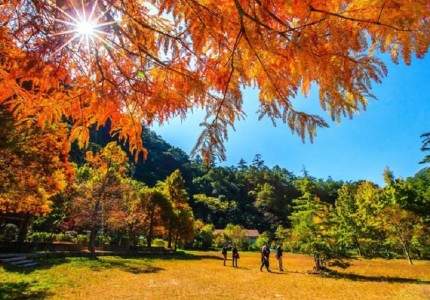 kinh nghiệm du lịch Đài Loan tháng 10