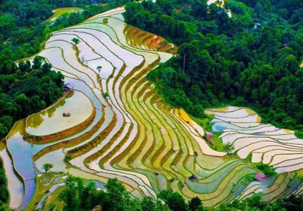 Hà Giang tháng 7 có gì đẹp