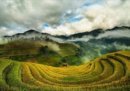 Khám phá mùa vàng Đông - Tây Bắc