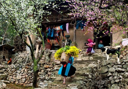 Bỏ túi kinh nghiệm đi trải nghiệm Hà Giang Tết