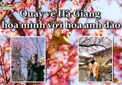 Quay về Hà Giang hòa mình với hoa anh đào