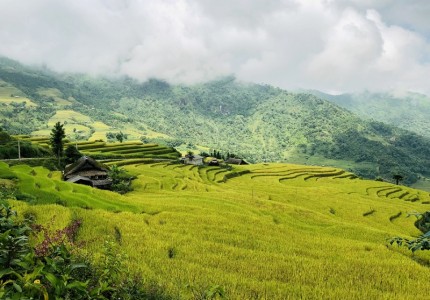 Tham quan mùa vàng Sà Phìn
