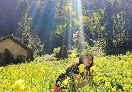 Vẻ đẹp mùa hoa cải vàng Hà Giang