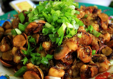 Ốc mặt trăng đặc sản Lý Sơn