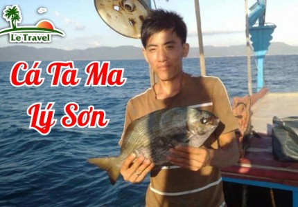 Thưởng thức loài cá hiếm mang tên ma mị của Lý Sơn