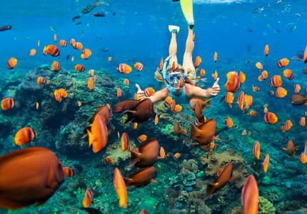 Trải nghiệm lặn biển Maldives