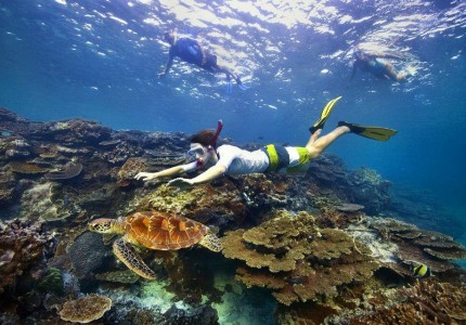 Vẻ đẹp của những hòn đảo San Hô tại Maldives