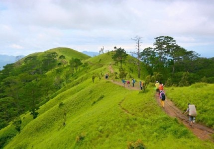 Trekking đồi cỏ xanh Tà Năng