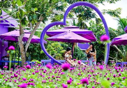 Căn nhà tím Miền Tây điểm sống ảo hút khách