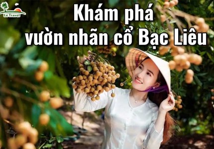 Khám phá vườn nhãn cổ Bạc Liêu