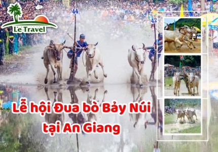 Trải nghiệm lễ hội Đua bò Bảy Núi tại An Giang