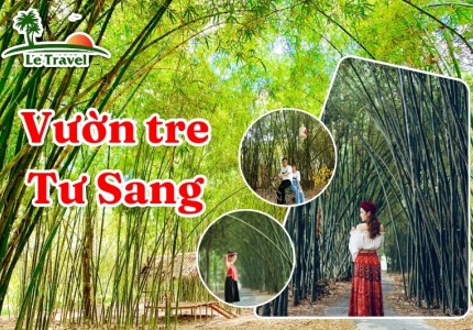 Vườn tre Tư Sang: Nơi lưu giữ ký ức tuổi thơ