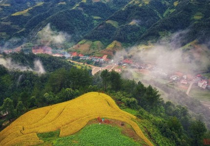 Khám phá vẻ đẹp Mù Cang Chải mùa lúa chín