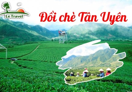 Kinh nghiệm du lịch đồi chè Tân Uyên