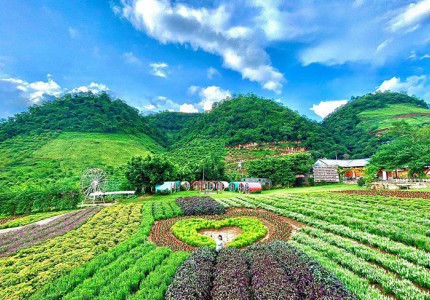 Đi du lịch Mộc Châu mùa nào đẹp