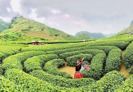 Du lịch 2 – 9 Mộc Châu có gì 