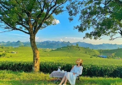 Du lịch Mộc Châu mùa hè