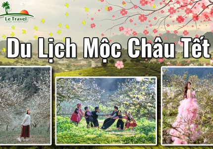 Kinh nghiệm đi du lịch Mộc Châu dịp Tết chi tiết