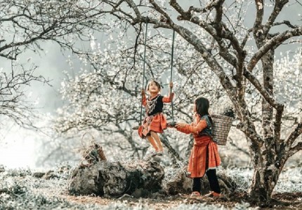 Mùa xuân gọi trên cao nguyên Mộc Châu