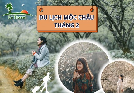 Những kinh nghiệm du lịch Mộc Châu tháng 2 chi tiết