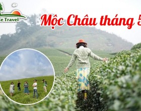 Trải nghiệm du lịch Mộc Châu tháng 5