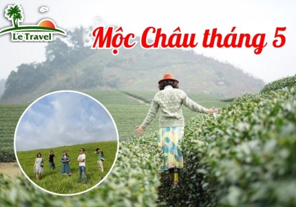Trải nghiệm du lịch Mộc Châu tháng 5