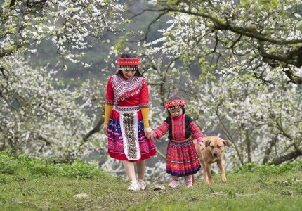 Trải nghiệm văn hóa của đồng bào Mông Người tết
