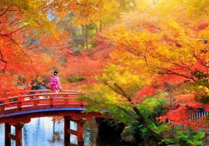 Đi du lịch Nhật Bản có cần xin visa không